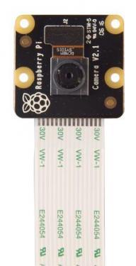 Raspberry Pi  Camera Module 2 NoIR