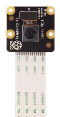Raspberry Pi  Camera Module 2 NoIR